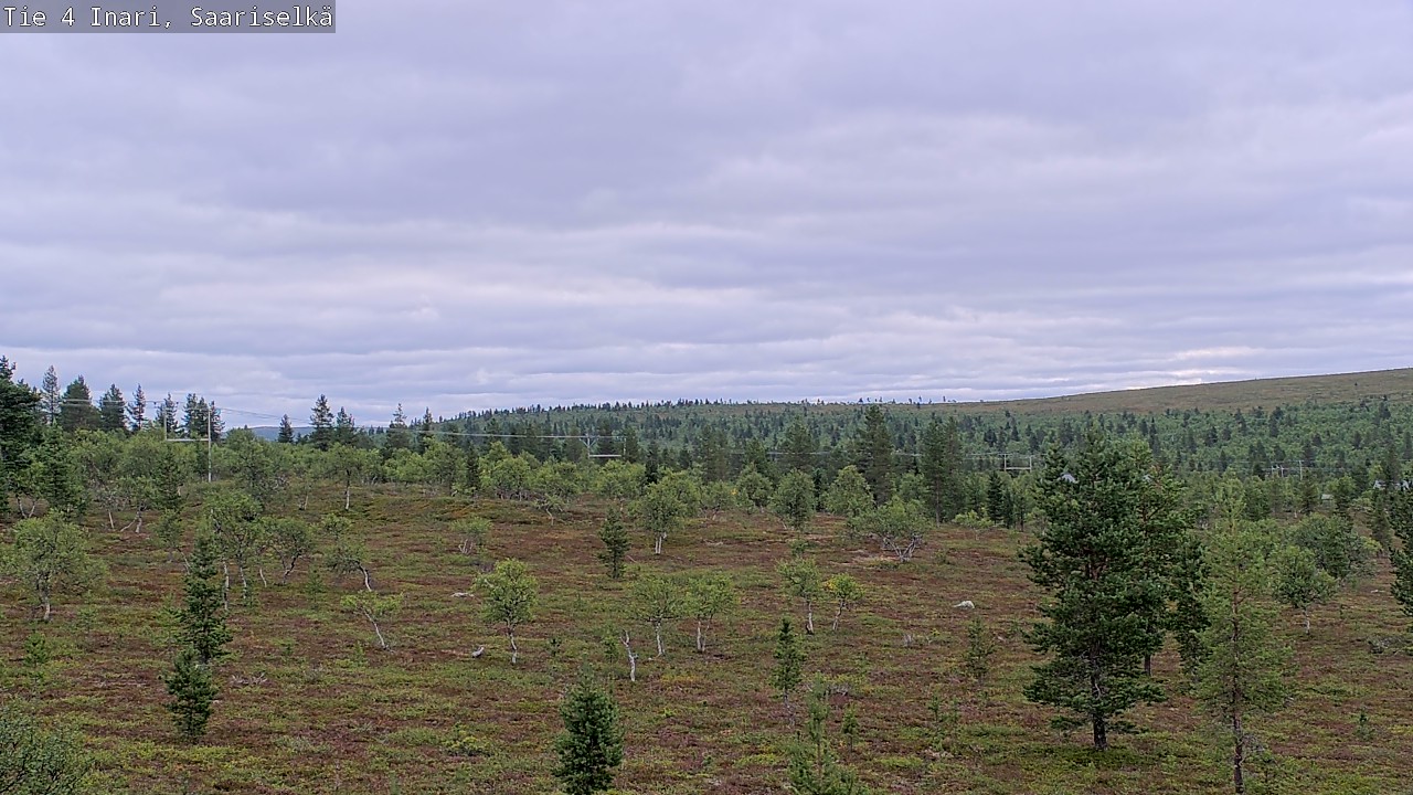 Kelikamerat Kuva Tie 4 Inari, Saariselkä, Kaunispää, Inari, Lappi