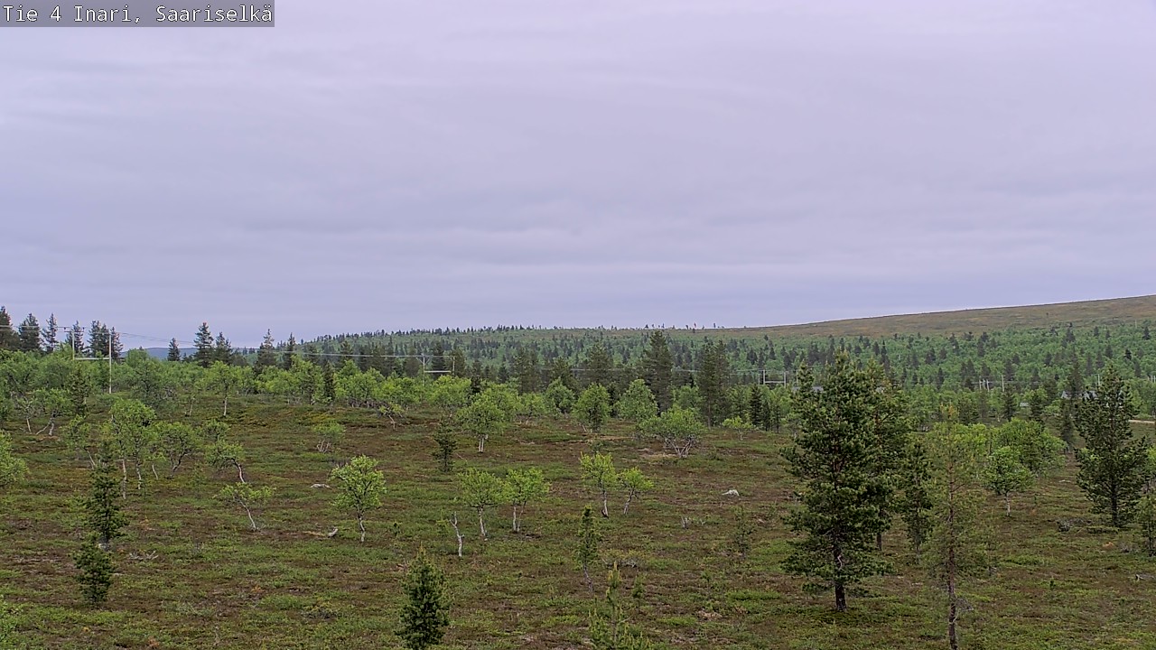 Kelikamerat Kuva Tie 4 Inari, Saariselkä, Kaunispää, Inari, Lappi