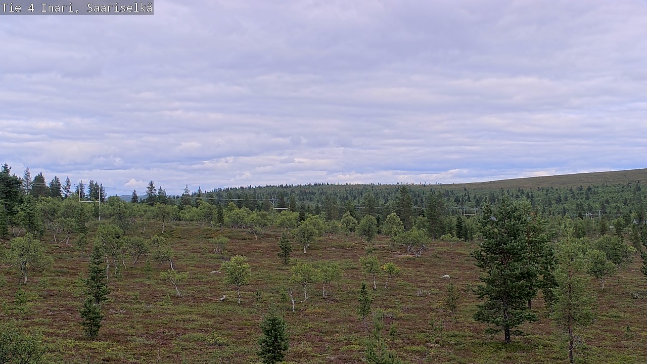 Kelikamerat Kuva Tie 4 Inari, Saariselkä, Kaunispää, Inari, Lappi