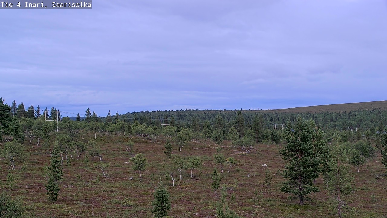 Kelikamerat Kuva Tie 4 Inari, Saariselkä, Kaunispää, Inari, Lappi