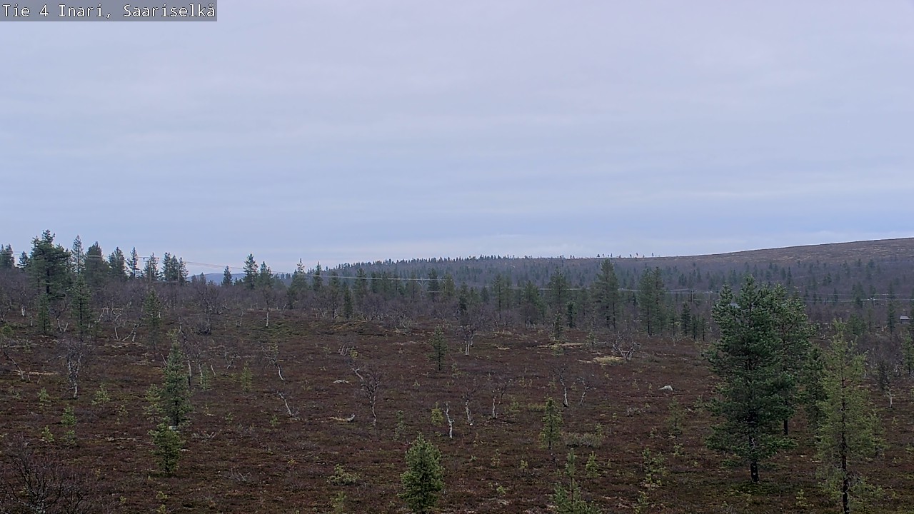 Kelikamerat Kuva Tie 4 Inari, Saariselkä, Kaunispää, Inari, Lappi