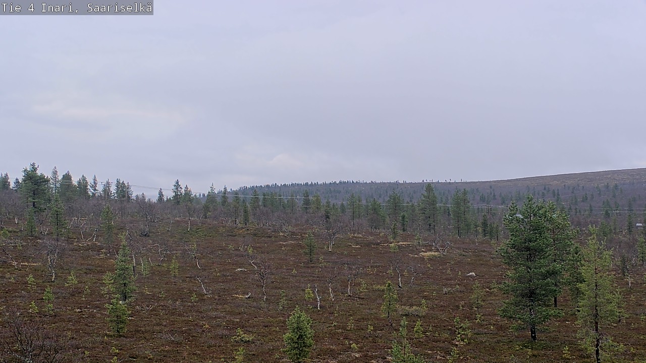 Kelikamerat Kuva Tie 4 Inari, Saariselkä, Kaunispää, Inari, Lappi