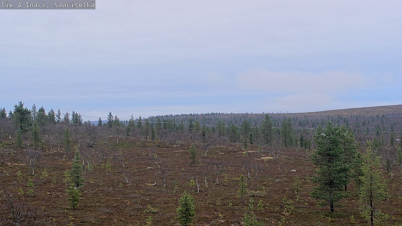 Kelikamerat Kuva Tie 4 Inari, Saariselkä, Kaunispää, Inari, Lappi