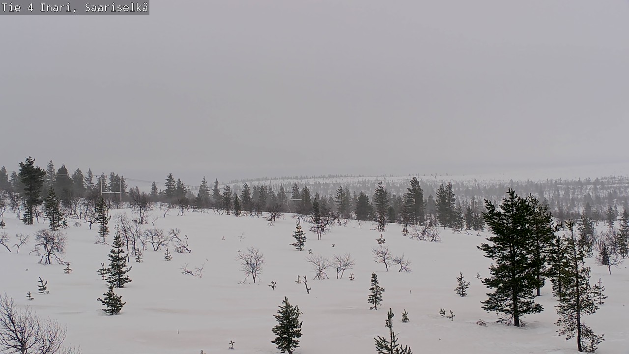 Kelikamerat Kuva Tie 4 Inari, Saariselkä, Kaunispää, Inari, Lappi
