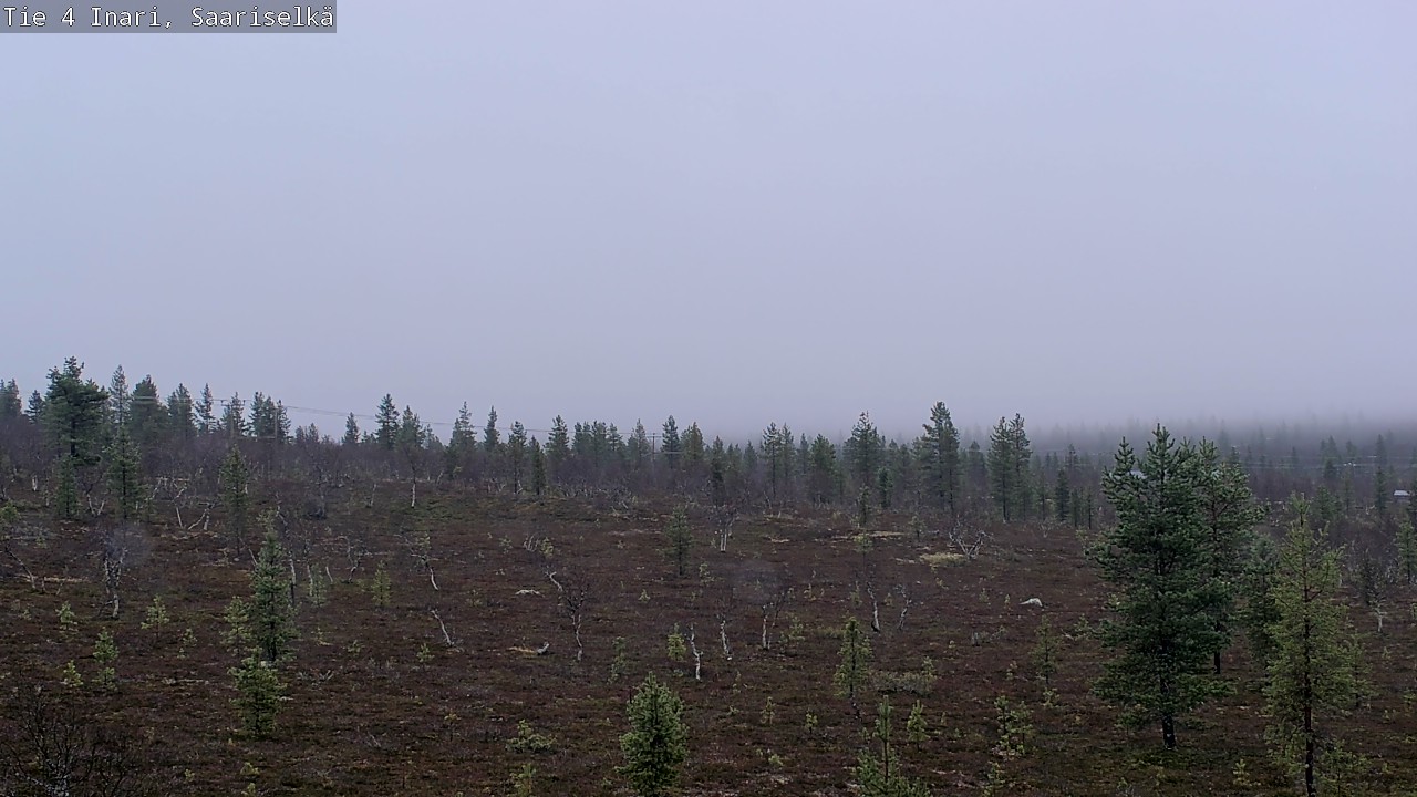 Kelikamerat Kuva Tie 4 Inari, Saariselkä, Kaunispää, Inari, Lappi