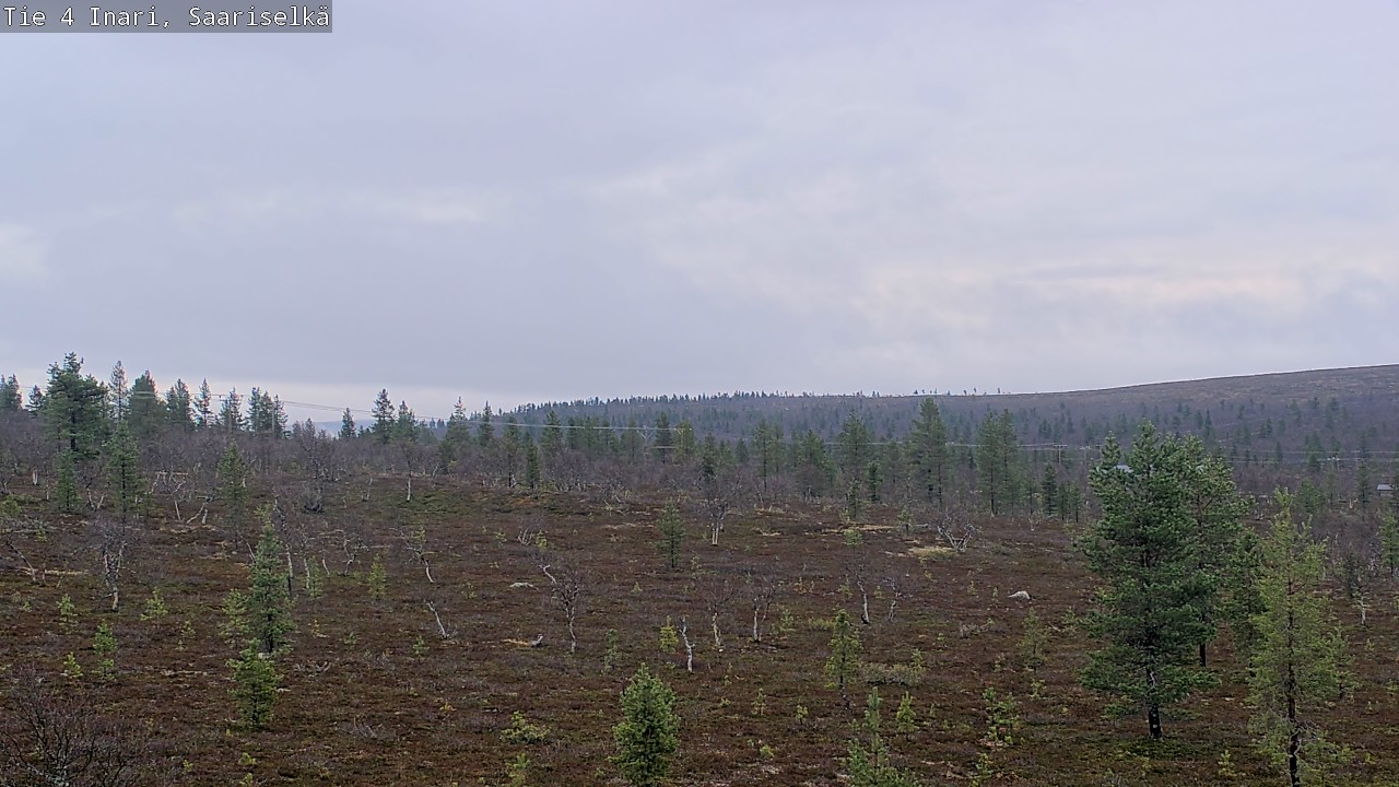 Kelikamerat Kuva Tie 4 Inari, Saariselkä, Kaunispää, Inari, Lappi