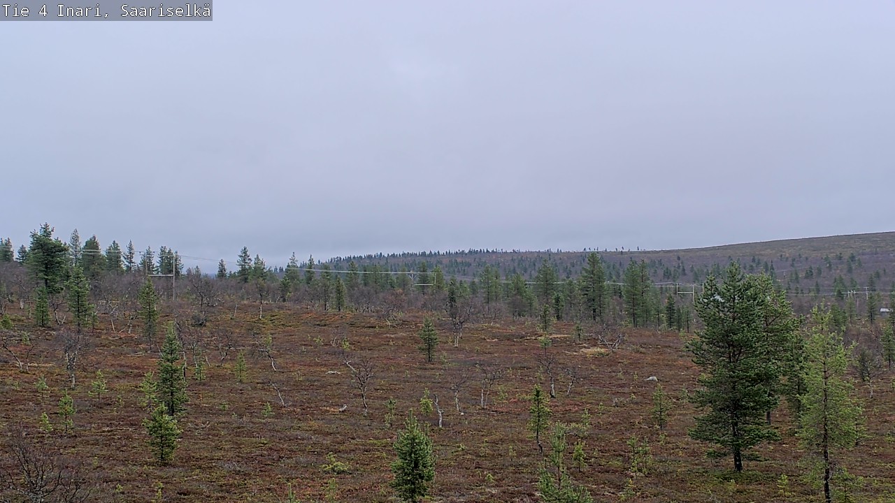 Weather Camera Image Road 4 Inari, Saariselkä, Kaunispää, Inari, Lappi