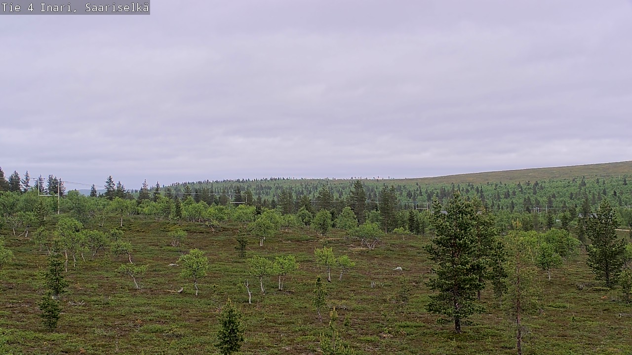 Kelikamerat Kuva Tie 4 Inari, Saariselkä, Kaunispää, Inari, Lappi