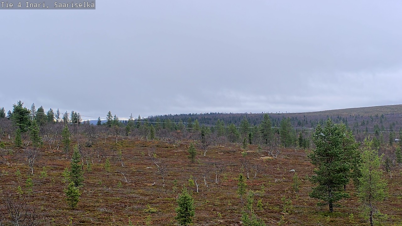 Kelikamerat Kuva Tie 4 Inari, Saariselkä, Kaunispää, Inari, Lappi