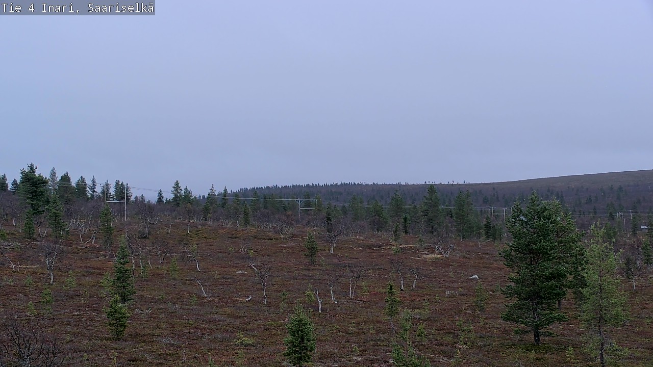 Kelikamerat Kuva Tie 4 Inari, Saariselkä, Kaunispää, Inari, Lappi