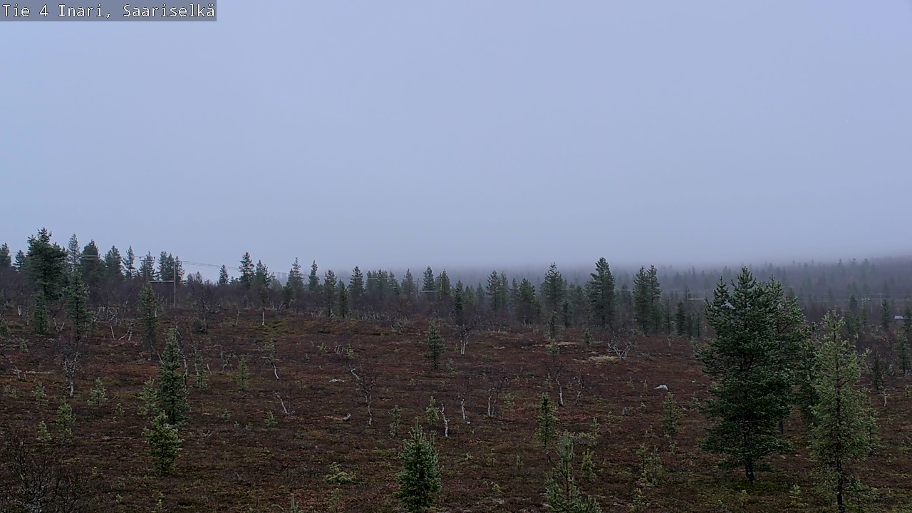 Kelikamerat Kuva Tie 4 Inari, Saariselkä, Kaunispää, Inari, Lappi