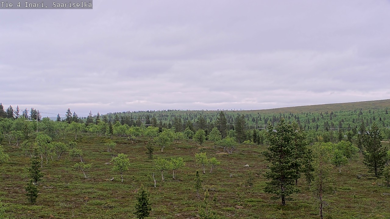 Kelikamerat Kuva Tie 4 Inari, Saariselkä, Kaunispää, Inari, Lappi