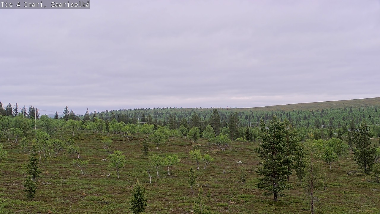Kelikamerat Kuva Tie 4 Inari, Saariselkä, Kaunispää, Inari, Lappi