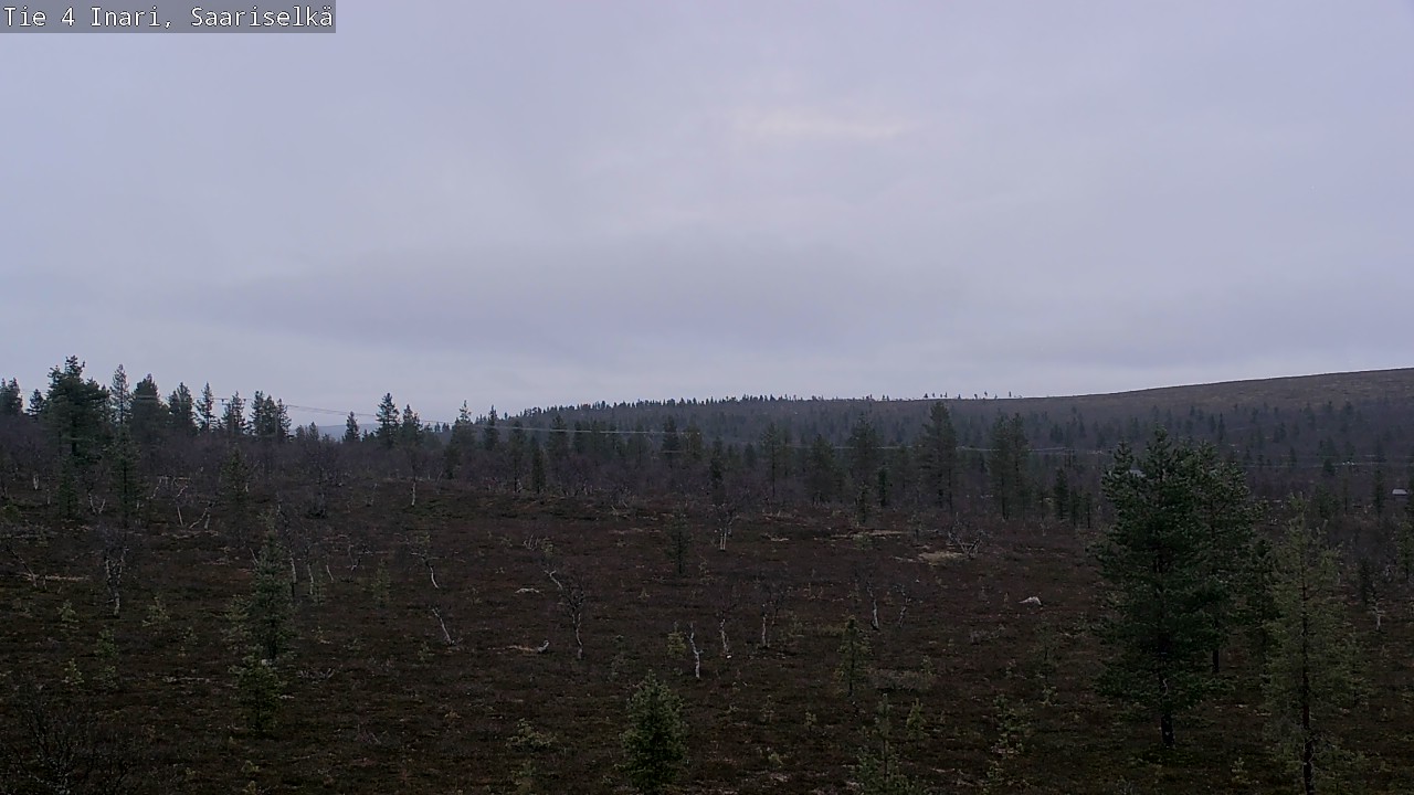 Kelikamerat Kuva Tie 4 Inari, Saariselkä, Kaunispää, Inari, Lappi