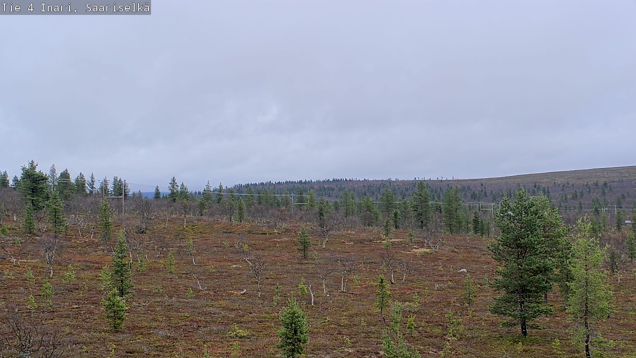 Weather Camera Image Road 4 Inari, Saariselkä, Kaunispää, Inari, Lappi