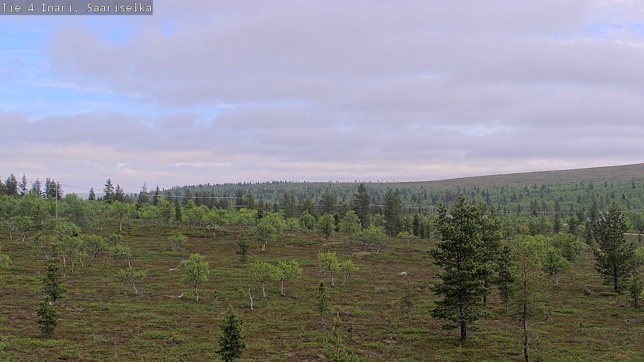Kelikamerat Kuva Tie 4 Inari, Saariselkä, Kaunispää, Inari, Lappi