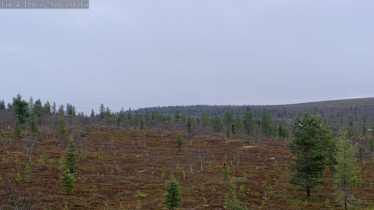 Kelikamerat Kuva Tie 4 Inari, Saariselkä, Kaunispää, Inari, Lappi