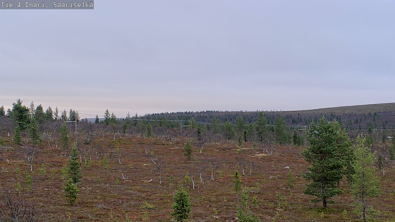 Kelikamerat Kuva Tie 4 Inari, Saariselkä, Kaunispää, Inari, Lappi