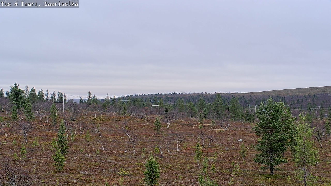 Kelikamerat Kuva Tie 4 Inari, Saariselkä, Kaunispää, Inari, Lappi