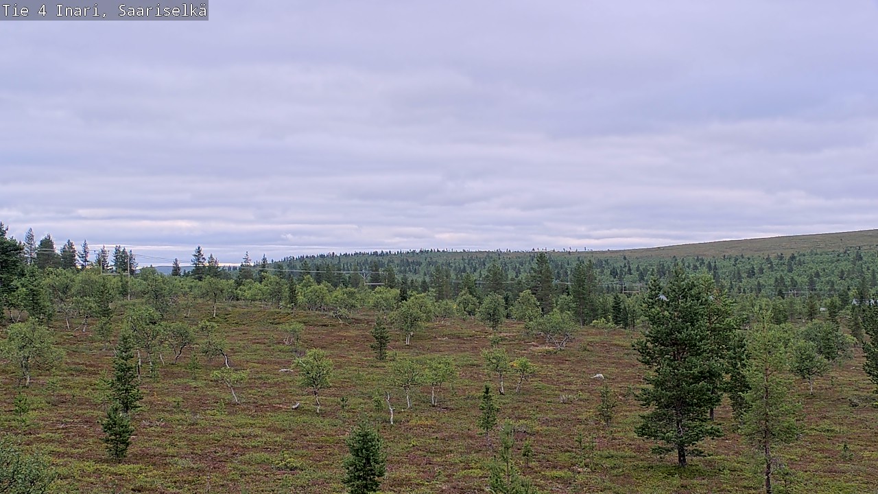 Kelikamerat Kuva Tie 4 Inari, Saariselkä, Kaunispää, Inari, Lappi