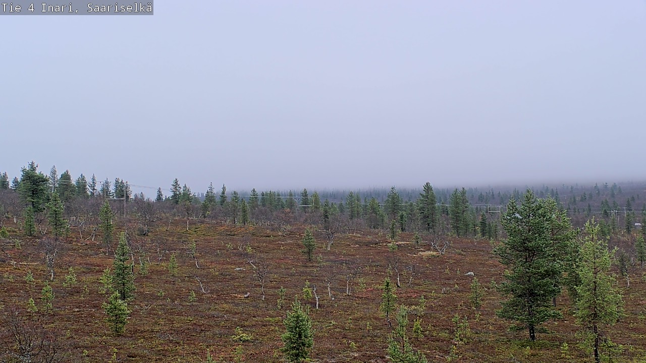 Weather Camera Image Road 4 Inari, Saariselkä, Kaunispää, Inari, Lappi