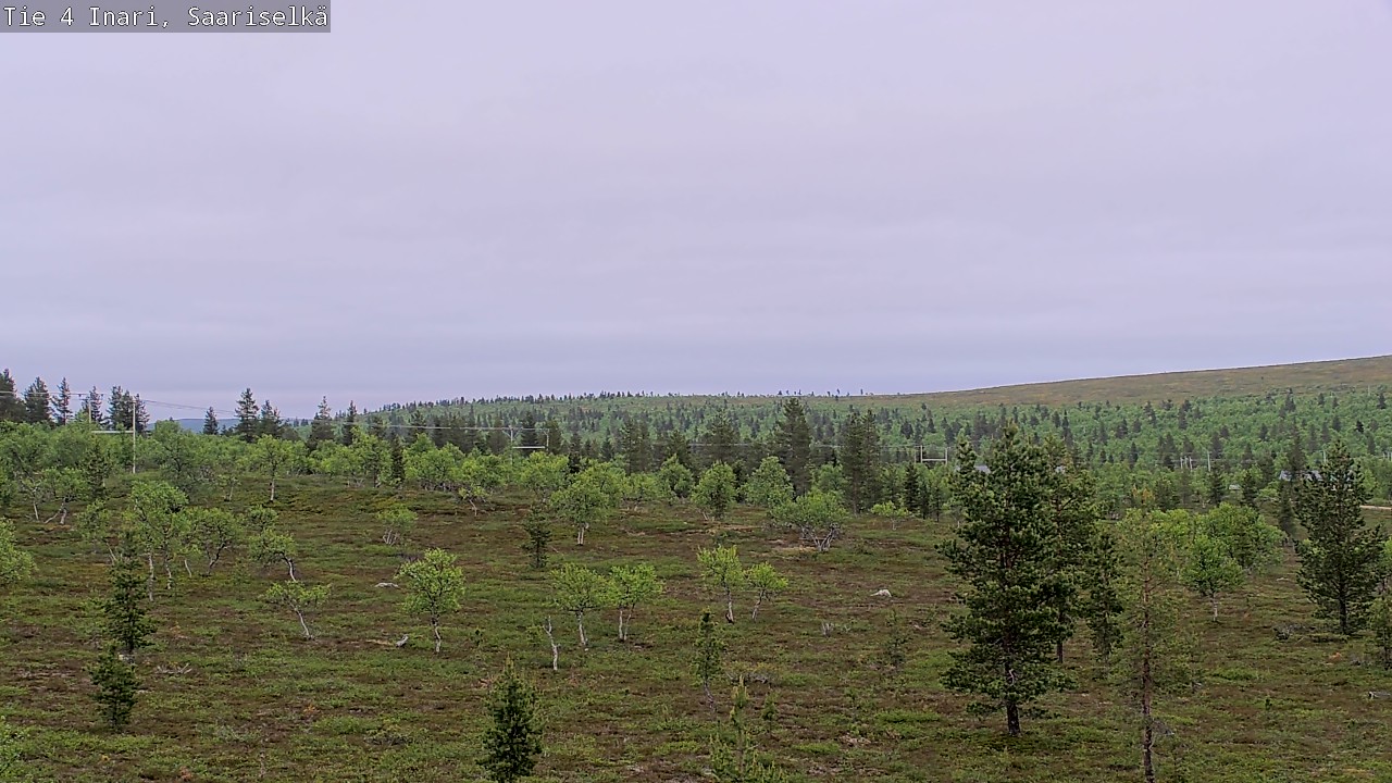 Kelikamerat Kuva Tie 4 Inari, Saariselkä, Kaunispää, Inari, Lappi