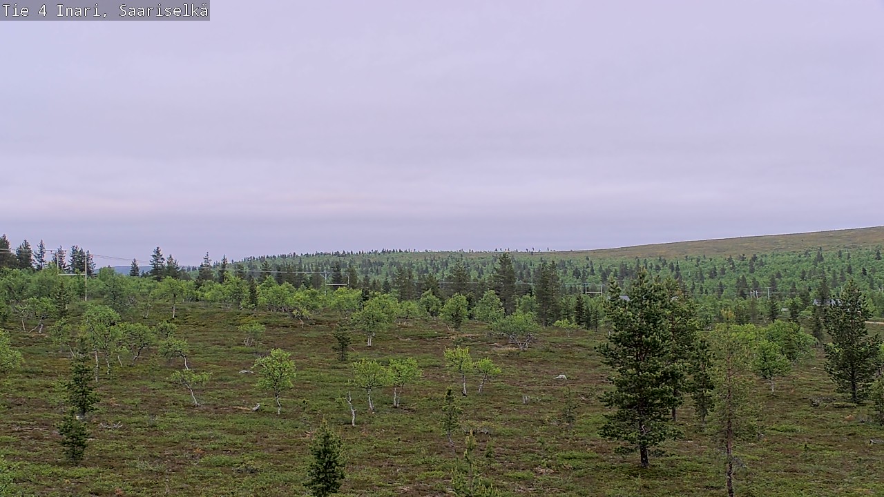 Kelikamerat Kuva Tie 4 Inari, Saariselkä, Kaunispää, Inari, Lappi