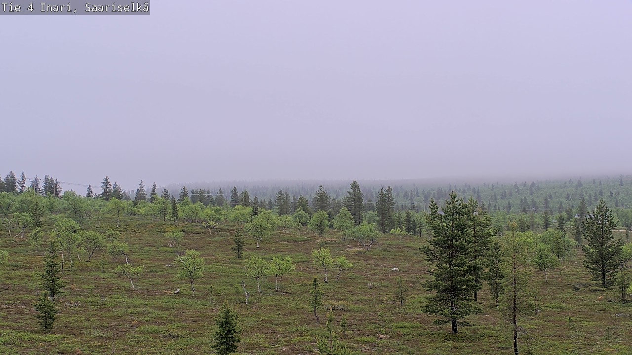 Kelikamerat Kuva Tie 4 Inari, Saariselkä, Kaunispää, Inari, Lappi