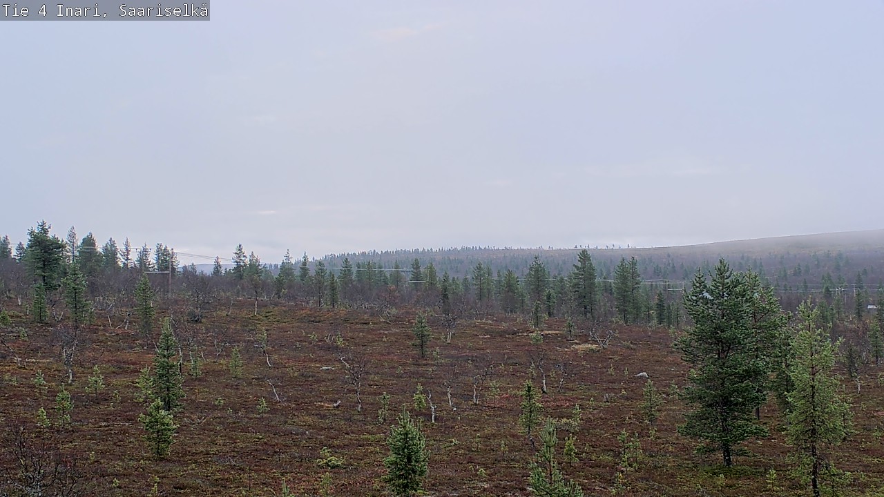 Kelikamerat Kuva Tie 4 Inari, Saariselkä, Kaunispää, Inari, Lappi