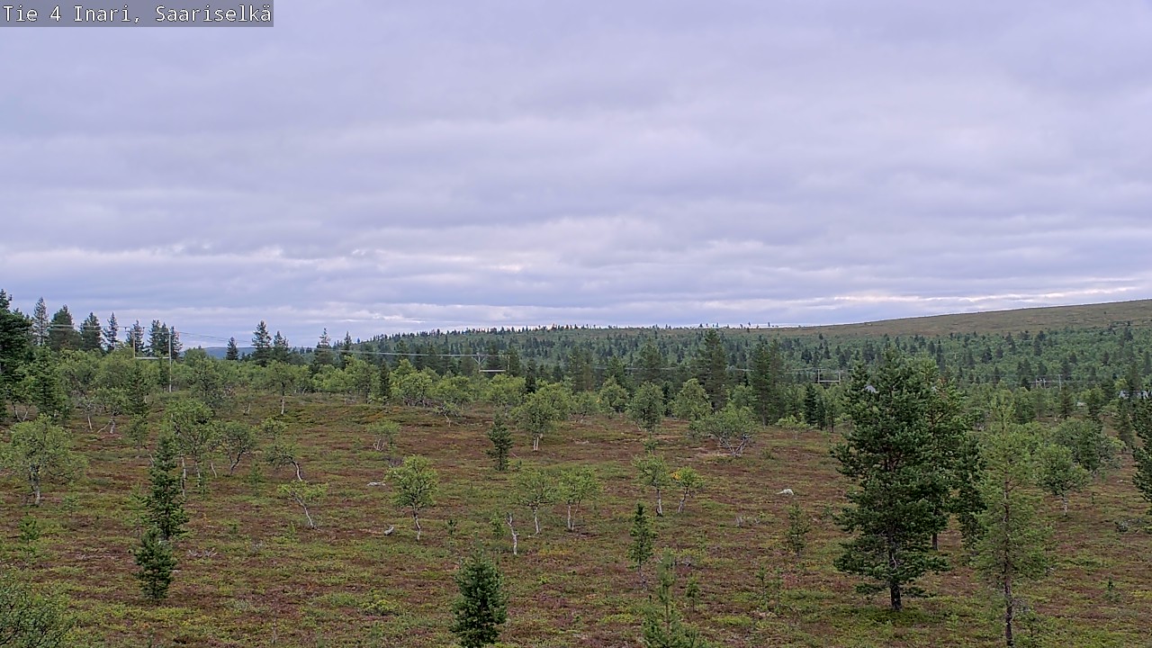 Kelikamerat Kuva Tie 4 Inari, Saariselkä, Kaunispää, Inari, Lappi