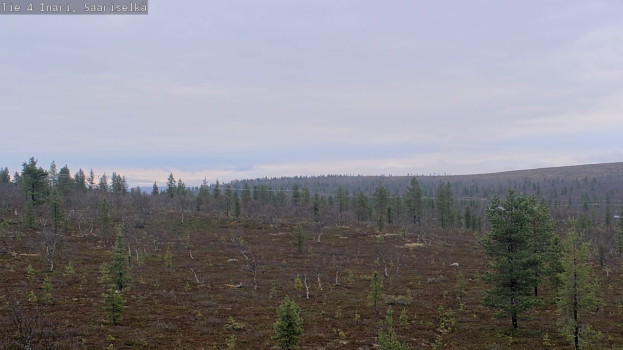 Kelikamerat Kuva Tie 4 Inari, Saariselkä, Kaunispää, Inari, Lappi