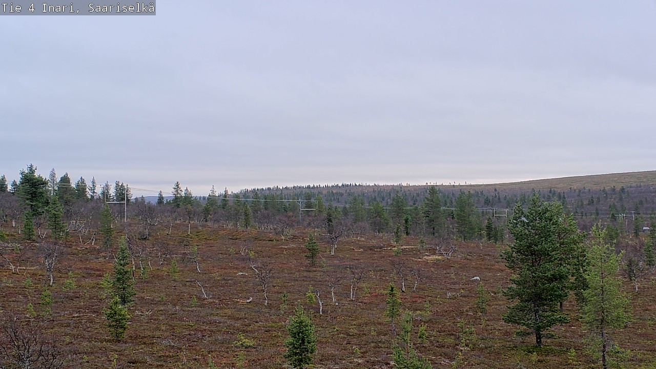 Kelikamerat Kuva Tie 4 Inari, Saariselkä, Kaunispää, Inari, Lappi