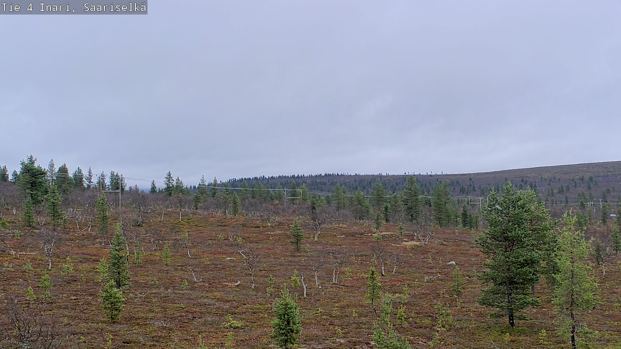 Weather Camera Image Road 4 Inari, Saariselkä, Kaunispää, Inari, Lappi