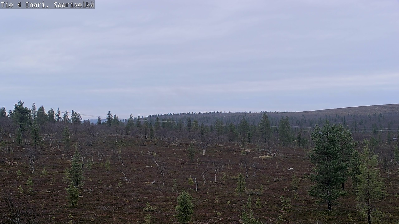 Kelikamerat Kuva Tie 4 Inari, Saariselkä, Kaunispää, Inari, Lappi