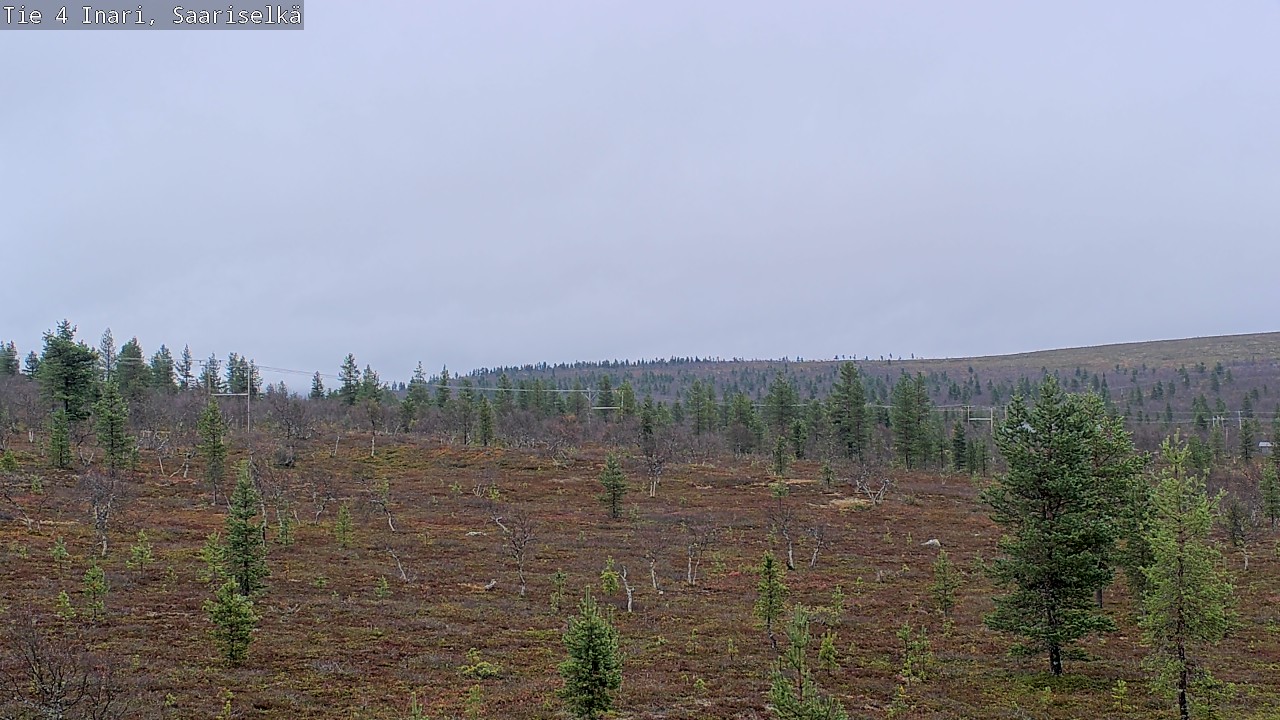 Weather Camera Image Road 4 Inari, Saariselkä, Kaunispää, Inari, Lappi