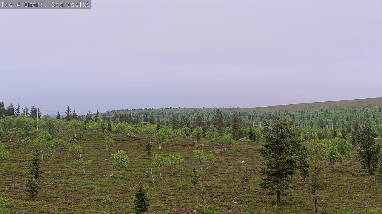 Kelikamerat Kuva Tie 4 Inari, Saariselkä, Kaunispää, Inari, Lappi