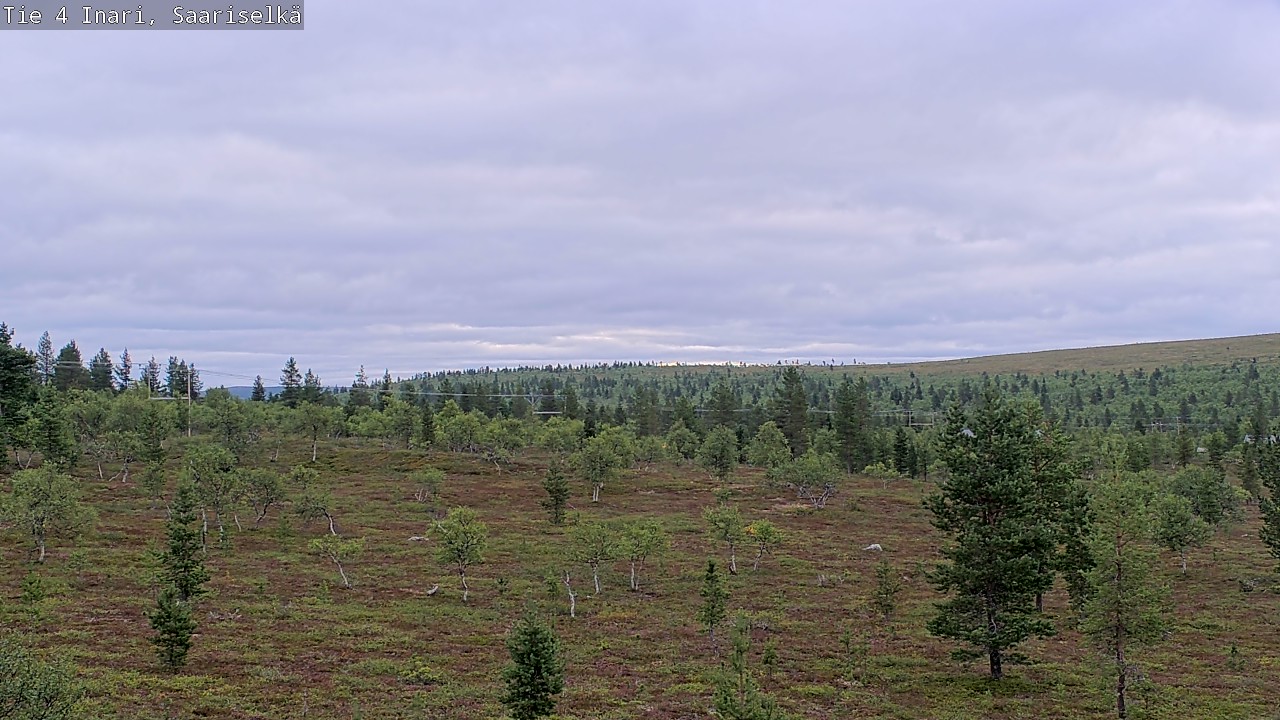Kelikamerat Kuva Tie 4 Inari, Saariselkä, Kaunispää, Inari, Lappi