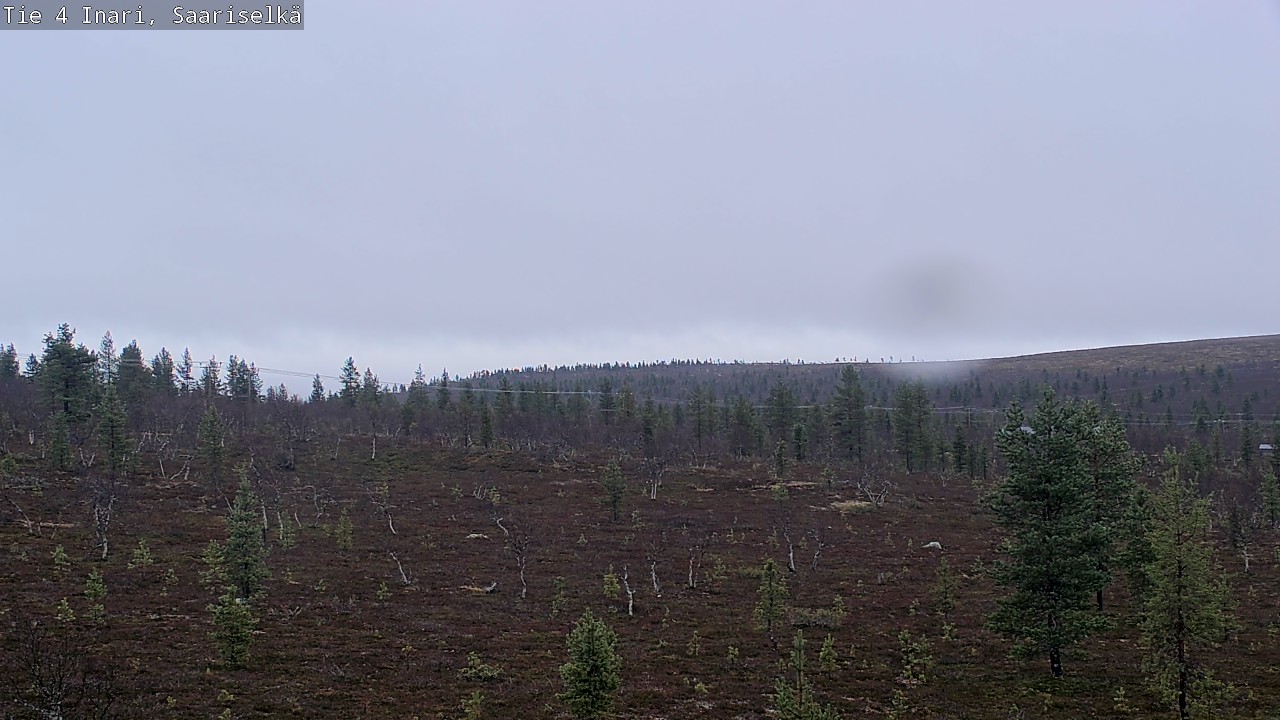 Kelikamerat Kuva Tie 4 Inari, Saariselkä, Kaunispää, Inari, Lappi