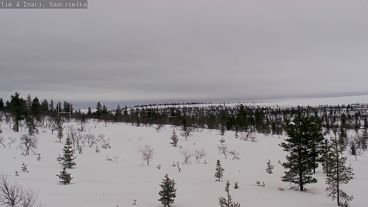 Kelikamerat Kuva Tie 4 Inari, Saariselkä, Kaunispää, Inari, Lappi
