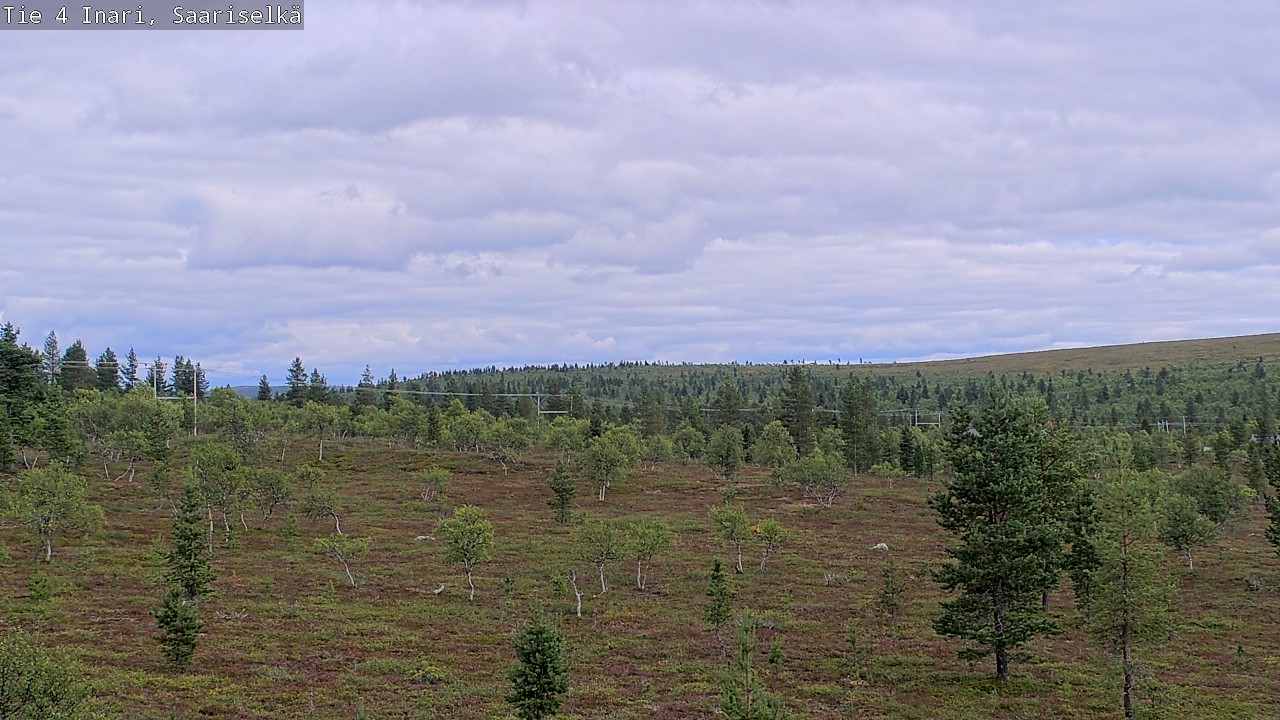 Kelikamerat Kuva Tie 4 Inari, Saariselkä, Kaunispää, Inari, Lappi