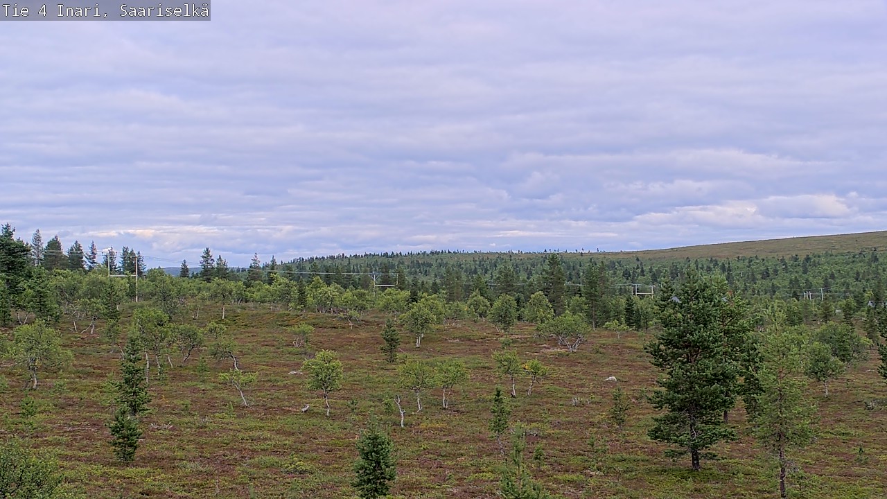 Kelikamerat Kuva Tie 4 Inari, Saariselkä, Kaunispää, Inari, Lappi