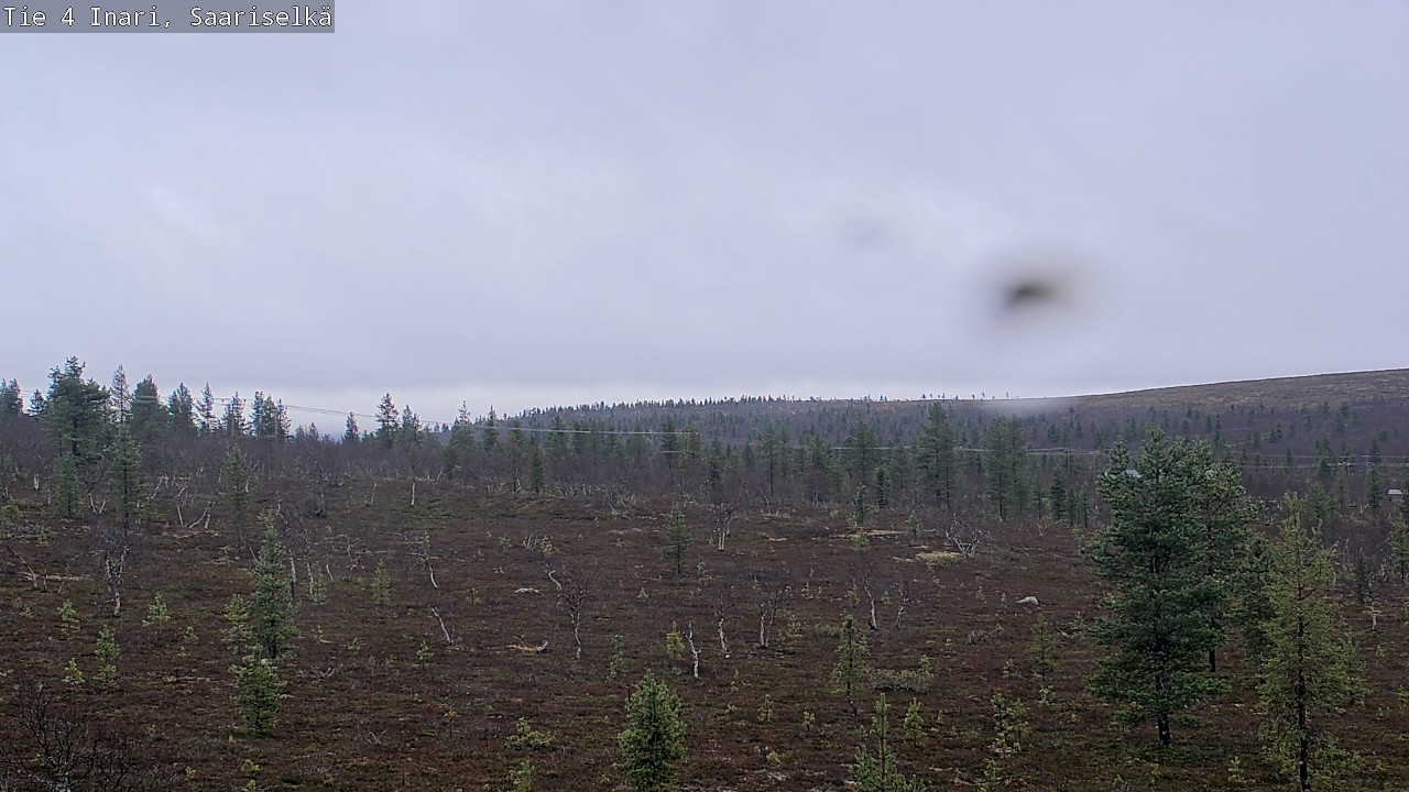 Kelikamerat Kuva Tie 4 Inari, Saariselkä, Kaunispää, Inari, Lappi