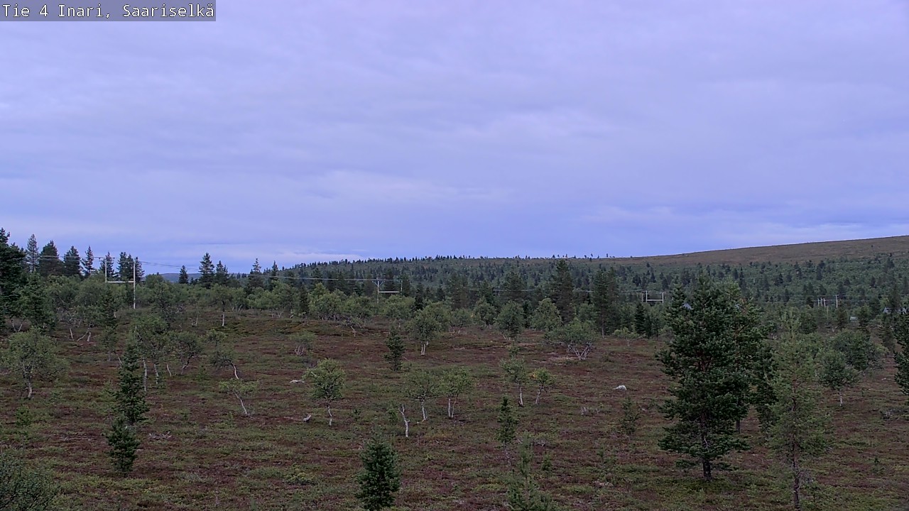 Kelikamerat Kuva Tie 4 Inari, Saariselkä, Kaunispää, Inari, Lappi