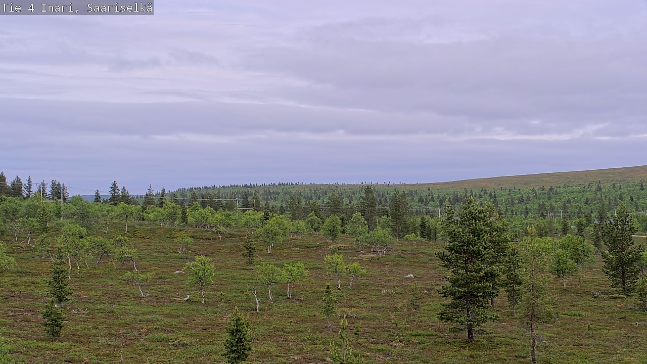 Kelikamerat Kuva Tie 4 Inari, Saariselkä, Kaunispää, Inari, Lappi