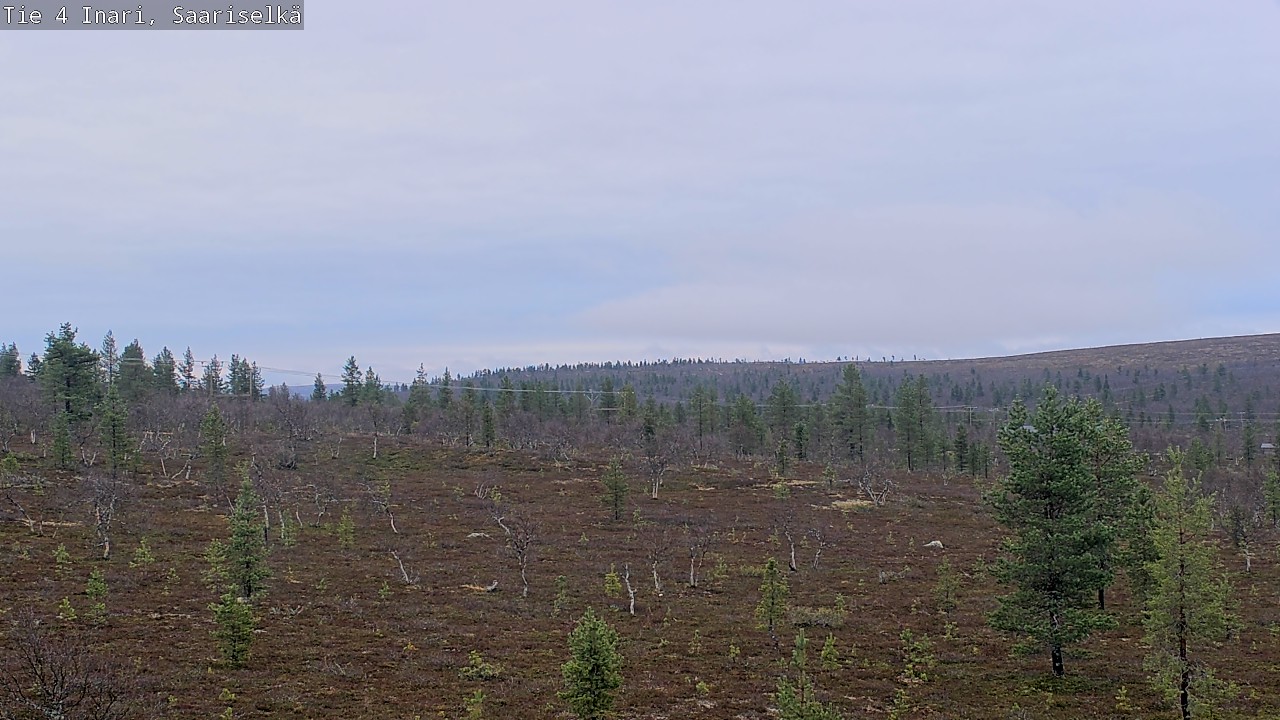 Kelikamerat Kuva Tie 4 Inari, Saariselkä, Kaunispää, Inari, Lappi