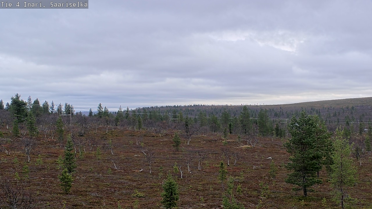 Kelikamerat Kuva Tie 4 Inari, Saariselkä, Kaunispää, Inari, Lappi