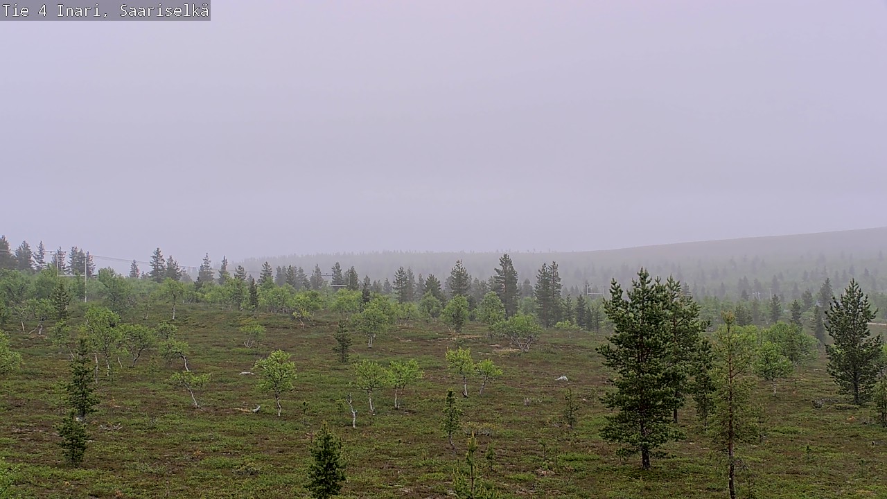 Kelikamerat Kuva Tie 4 Inari, Saariselkä, Kaunispää, Inari, Lappi