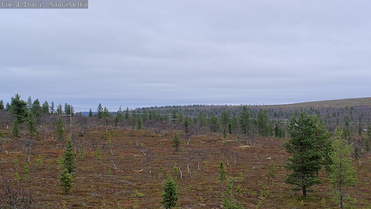 Kelikamerat Kuva Tie 4 Inari, Saariselkä, Kaunispää, Inari, Lappi