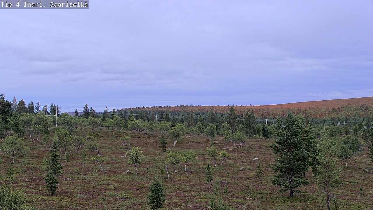 Kelikamerat Kuva Tie 4 Inari, Saariselkä, Kaunispää, Inari, Lappi