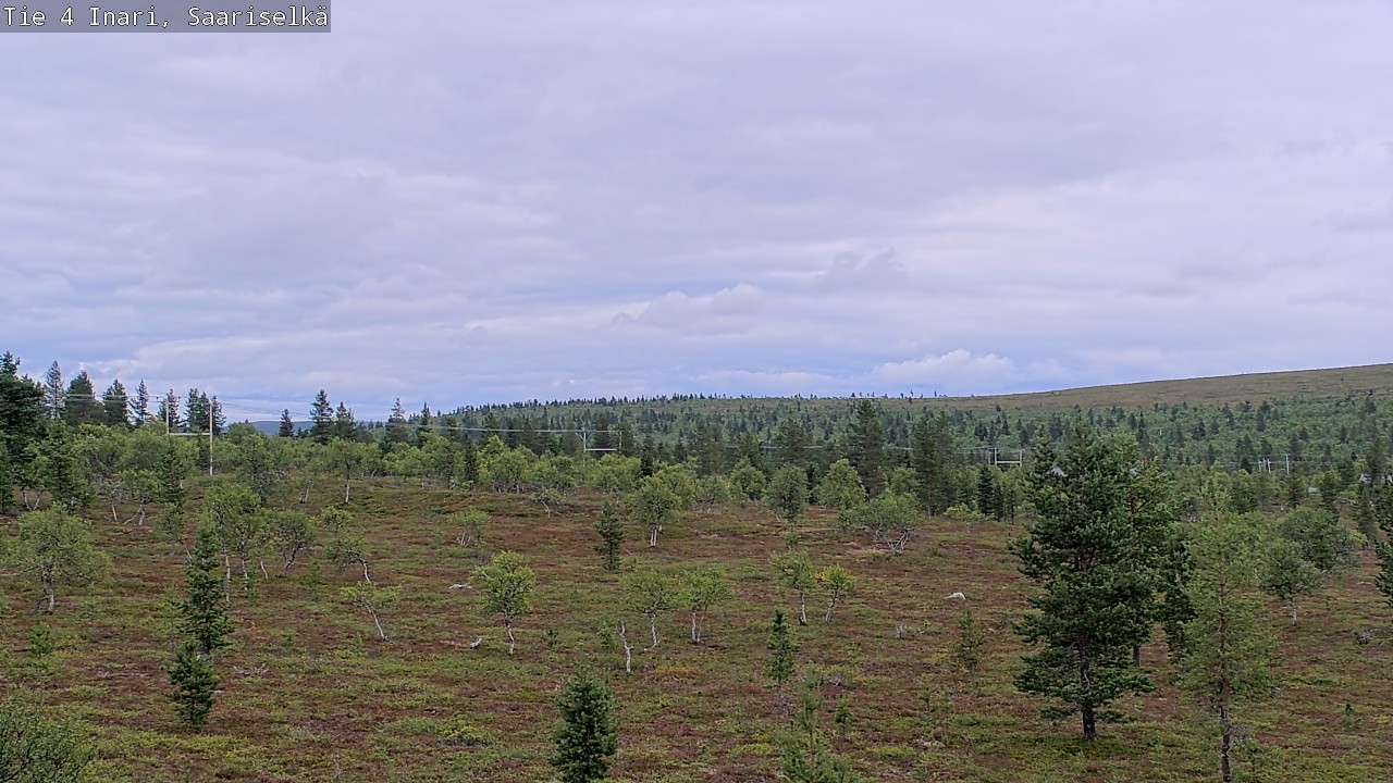 Kelikamerat Kuva Tie 4 Inari, Saariselkä, Kaunispää, Inari, Lappi